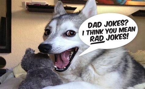 20 Of The Best (or Worst) Funny (and Clean) Dad Jokes for Father’s Day ...