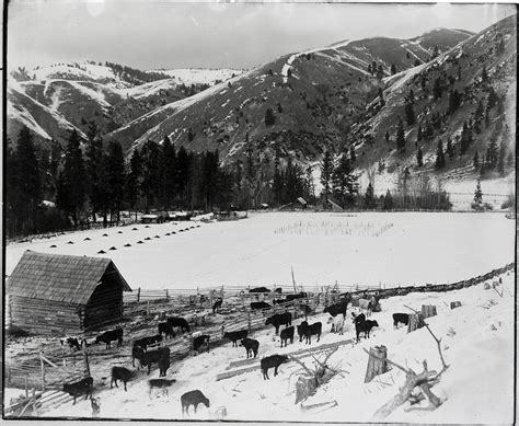 Ranching in Montana: History Collections | Montana History Portal