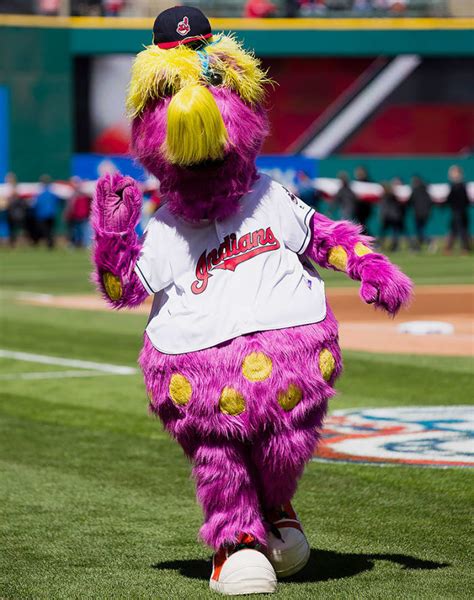 Ranking the MLB Mascots - Sports Illustrated