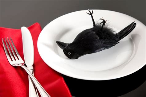 Is It Possible To Eat Crow? Everything You Need To Know – SHTF Prep ...