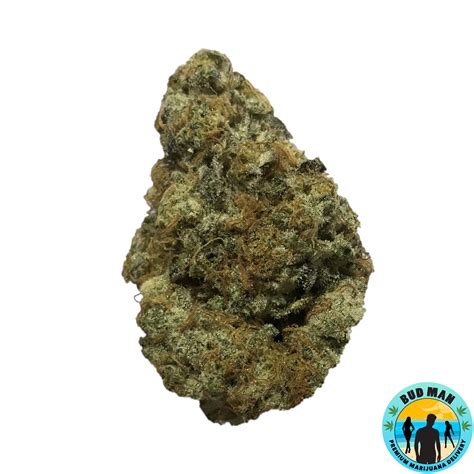 Dosi Punch (33.5% THC – premium): Bud Man Orange County Dispensary Delivery