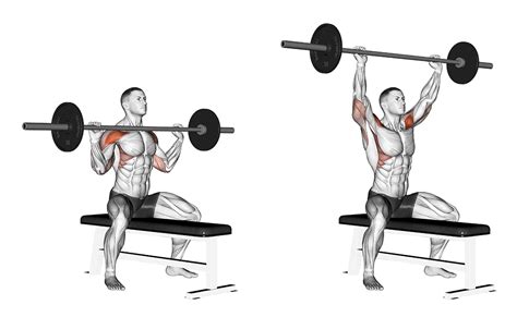 The Barbell Overhead ("Military") Press - A Muscle And Strength ...