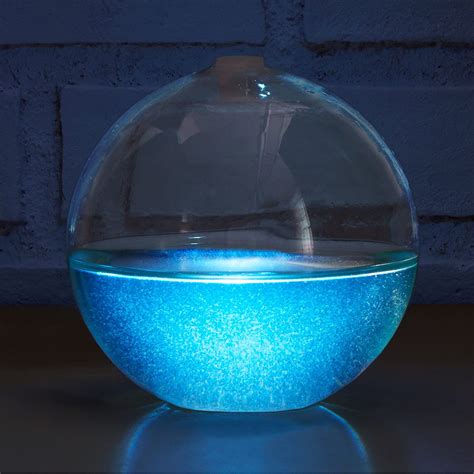 Bioluminescent Mini Aquarium | bioluminescent plankton | Mermaid room ...