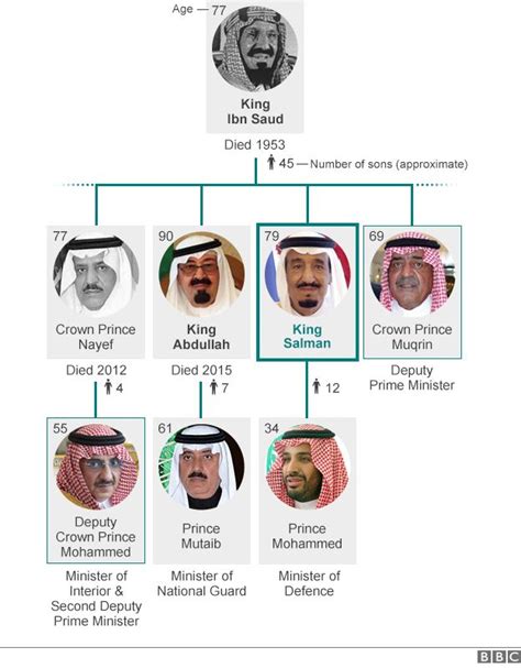 Saudi Arabia's new King Salman promises continuity - BBC News