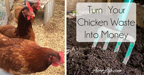 Composting Chicken Poop (Manure) - Acre Life Garden