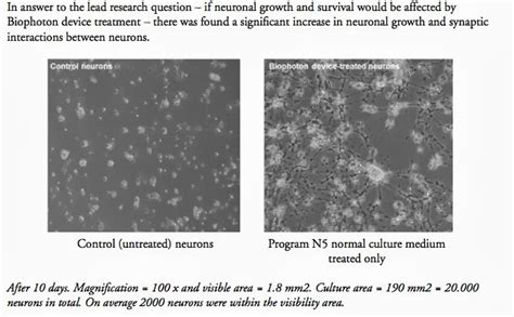 Higher Perspective: Scientific Proof We Can Reprogram Our DNA With ...