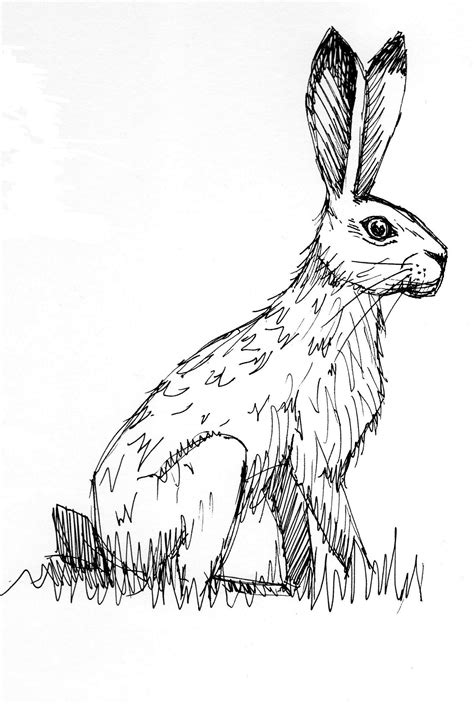 hare illustration | Linogravure, Coloriage, Dessin