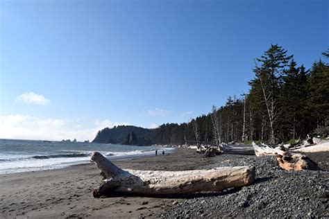 Rialto Beach, Washington + Hole in the Wall hike on the Olympic Peninsula