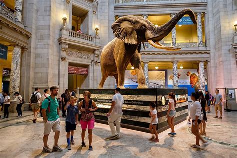 Can I Visit The Smithsonian Institution In 2020? - WorldAtlas