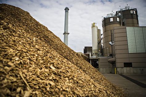 The Dutch have decided: Burning biomass is not sustainable – Euractiv