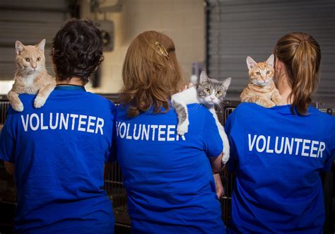 Humane Society of Loudoun County 10 Reasons to Volunteer at the Humane ...