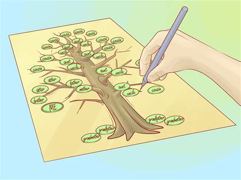 How to Draw a Family Tree: 10 Steps (with Pictures) - wikiHow | Family ...