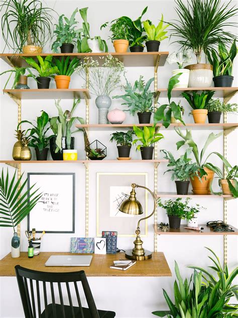 Desk Plants - Keeping Plants On Work Desk May Cut Stress In Employees ...