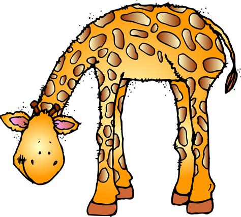 Zoo animals cartoon png information | Zoo Animals