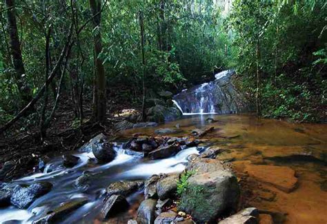 Sinharaja Forest Reserve