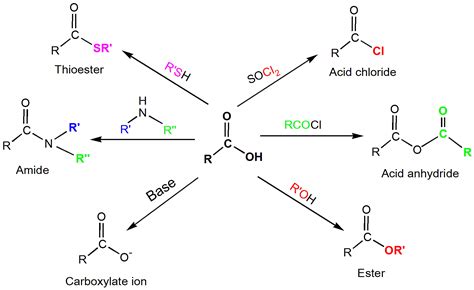 Carboxylic Acid And Alcohol / Solved: Name The Carboxylic Acid And The ...