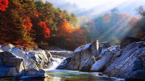 River Between Rocks Water Stream Surrounded By Colorful Autumn Trees ...