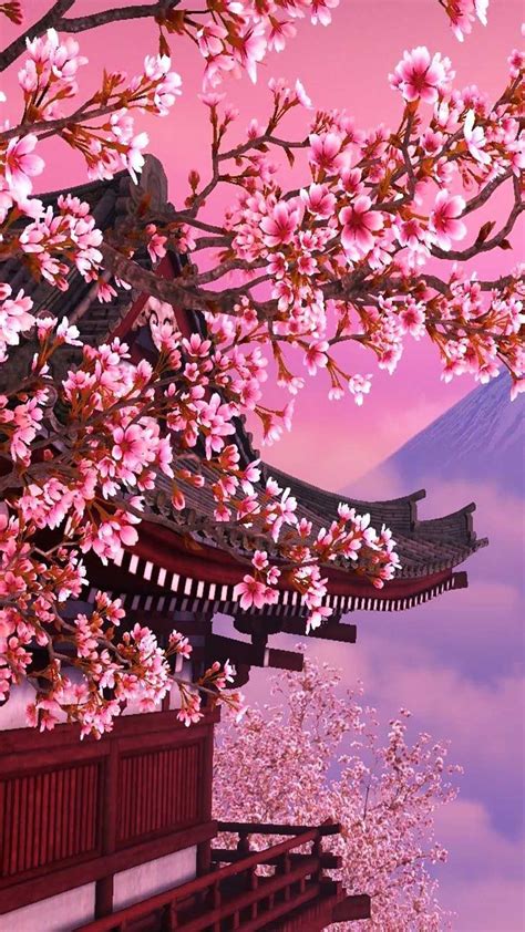 Cherry Blossom Wallpaper - EnWallpaper