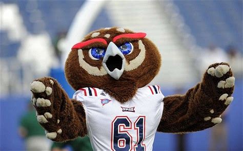 Florida Atlantic University Owls. Owlsey the Burrowing Owl. The ...