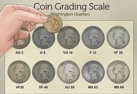 A Collector's Guide To Coin Grading When Looking For New Coins ...