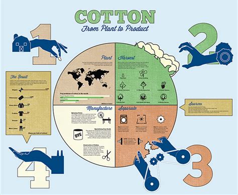 The Process of Cotton Infographic :: Behance