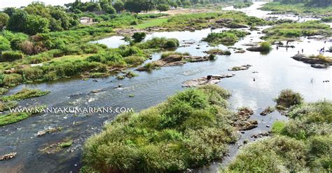 Thamirabarani River, Tirunelveli District | Kanyakumarians