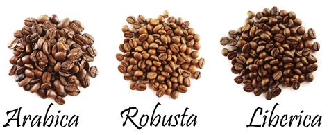 Different Types of Coffee Beans | Selling Coffee Online