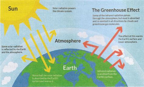 Draw A Well Labelled Diagram To Explain The Greenhouse Knowledgeboat ...