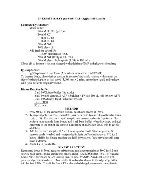 IP Kinase Assay Protocol