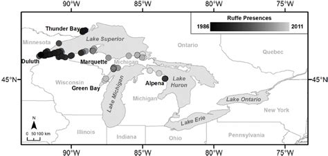 Eurasian Ruffe presences from 1986 to 2011. Ruffe data were obtained ...