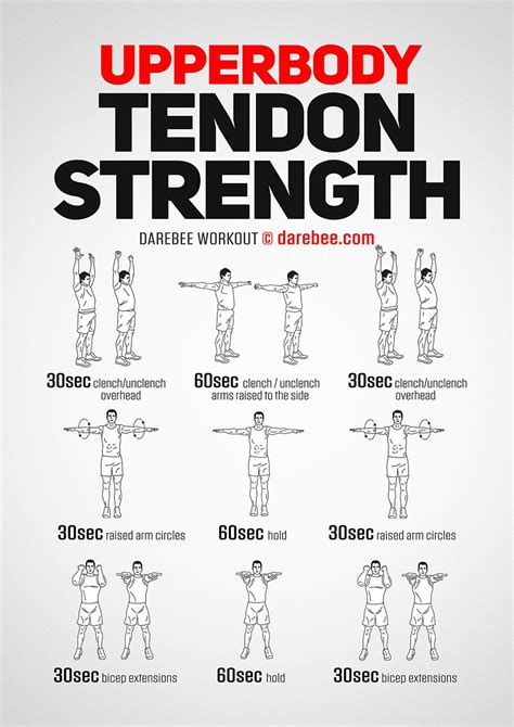 Upperbody Tendon Strength Workout | Strength workout, Upper body ...