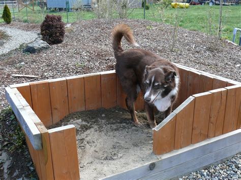 Create a digging pit for dogs created out of leftover decking lumber ...