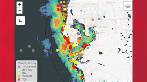 Red Tide Florida 2022 Map - Route Map 2022