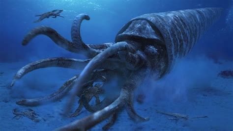 Giant Orthocone | Prehistoric animals, Prehistoric, Sea dinosaurs