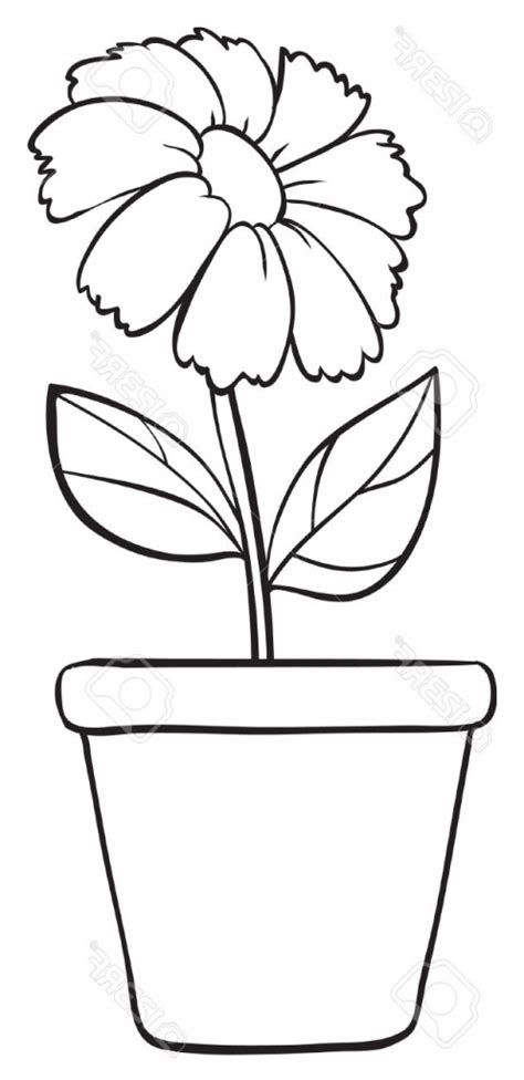 flower vase for drawing simple - Clip Art Library