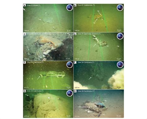 Examples of litter items observed during ROV dives in the Motril ...