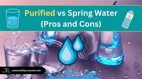 Purified vs Spring Water: Pros & Cons (and Better Choice)