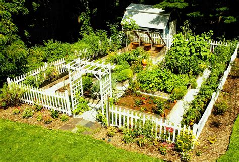 Vegetable Garden Design Ideas Backyard - Image to u