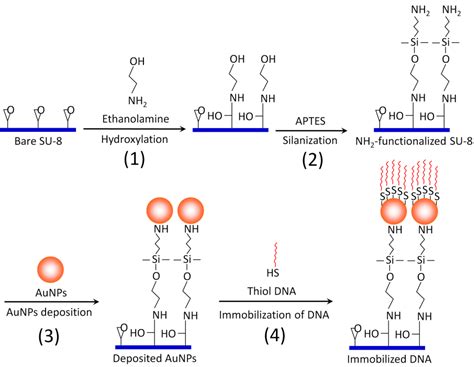 Diagnostics | Free Full-Text | Gold Nanoparticles-Coated SU-8 for ...