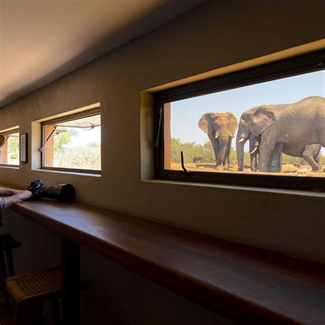 Rhulani Safari Lodge | Activities included in your stay