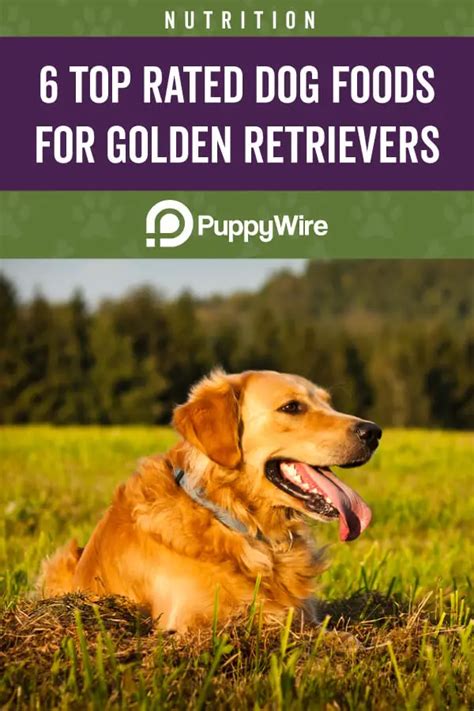 Best Dog Food for Golden Retrievers (Top 6 Picks w/ Reviews)