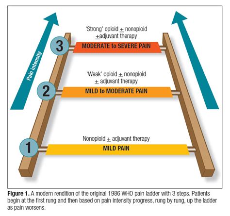 Analgesic Ladder