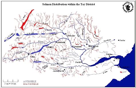 Map of The Tay Catchment | Map, Forfar, Districts