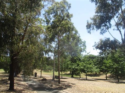 Boroondara Park (Canterbury): UPDATED 2020 All You Need to Know Before ...