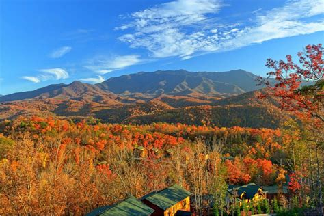 Smoky Mountain Fall Foliage