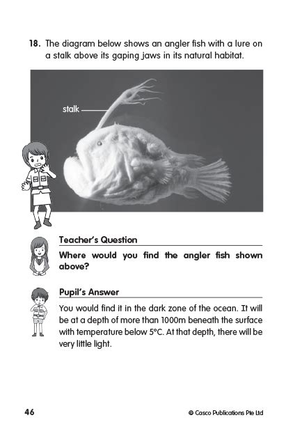 Science Inquiry-based Learning Questions & Answers P6 | OpenSchoolbag