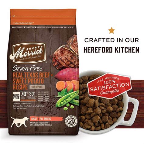 Tips for Choosing Best Dog Food Brands | Pets Nurturing