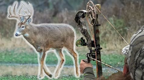 Top 5 Deer Hunting Tips For Ground Setups! - YouTube