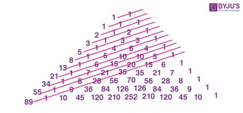 Fibonacci Numbers | Definition, Fibonacci sequence Formula and Examples