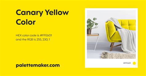 Canary Yellow Color - HEX #FFE601 Meaning and Live Previews - PaletteMaker